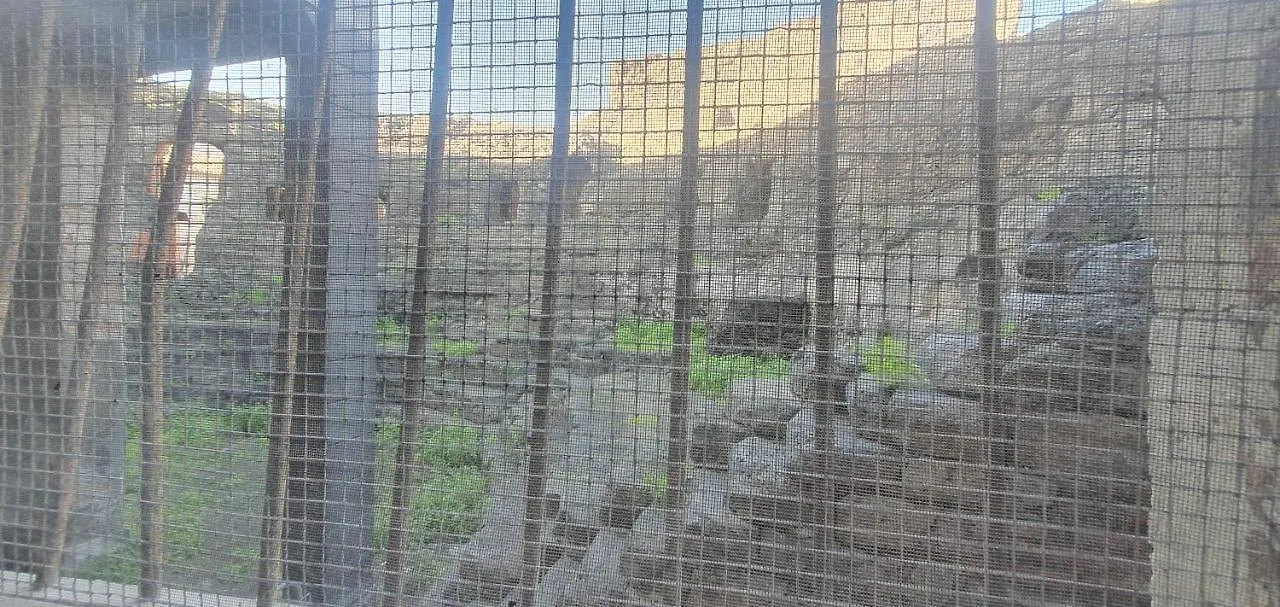 Domus Odeon La Casa Nel Parco Archeologico Di Catania Apartment 0*,
